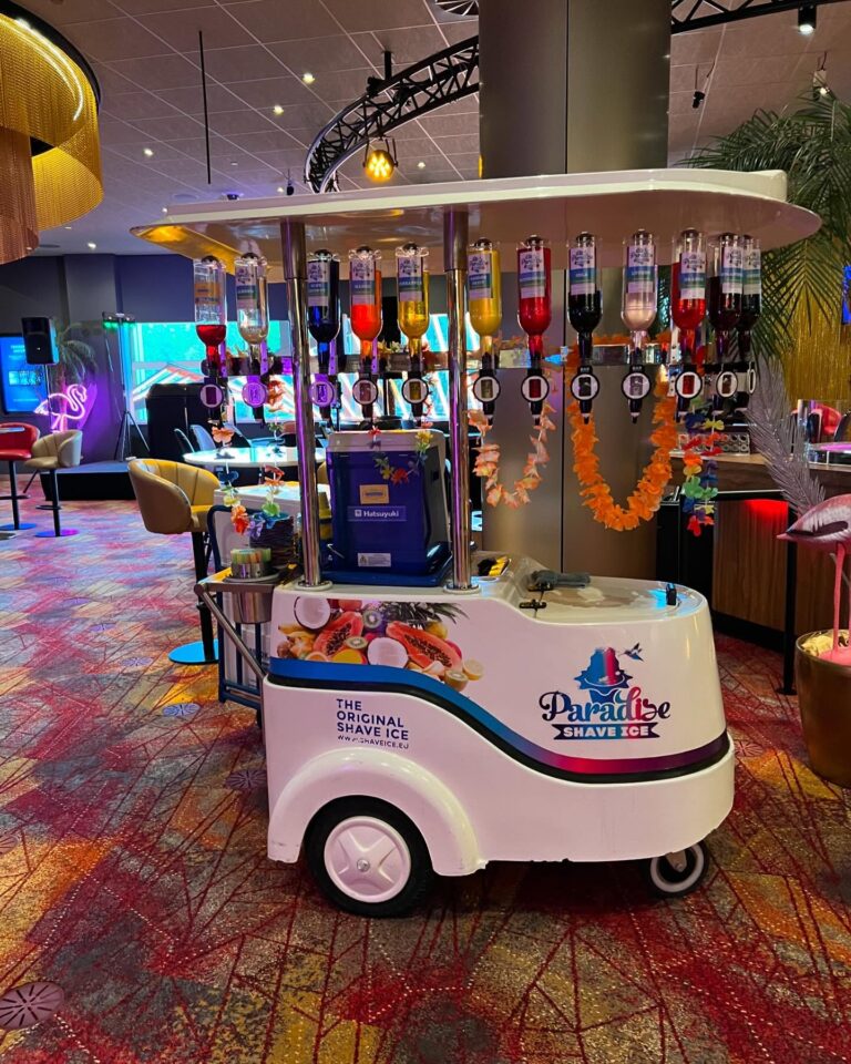 Instagram post from paradisepartyverhuur. This post is in position 8.