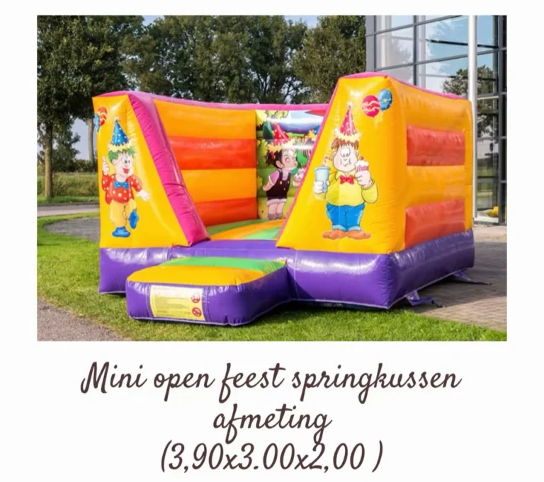 Instagram post from paradisepartyverhuur. This post is in position 1.