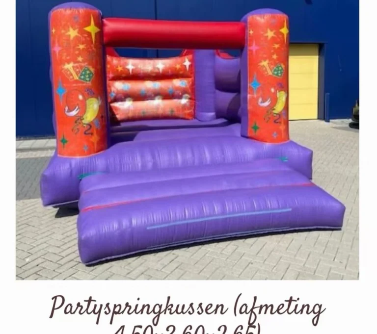Instagram post from paradisepartyverhuur. This post is in position 2.
